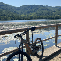 Bici Specialized turbo levo comp ebike