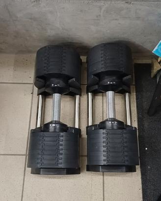 Manubri regolabili + attrezzi palestra