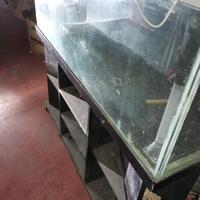 Acquario   130x50x40
