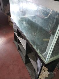 Acquario   130x50x40