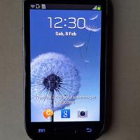 Samsung Galaxy S3 mini