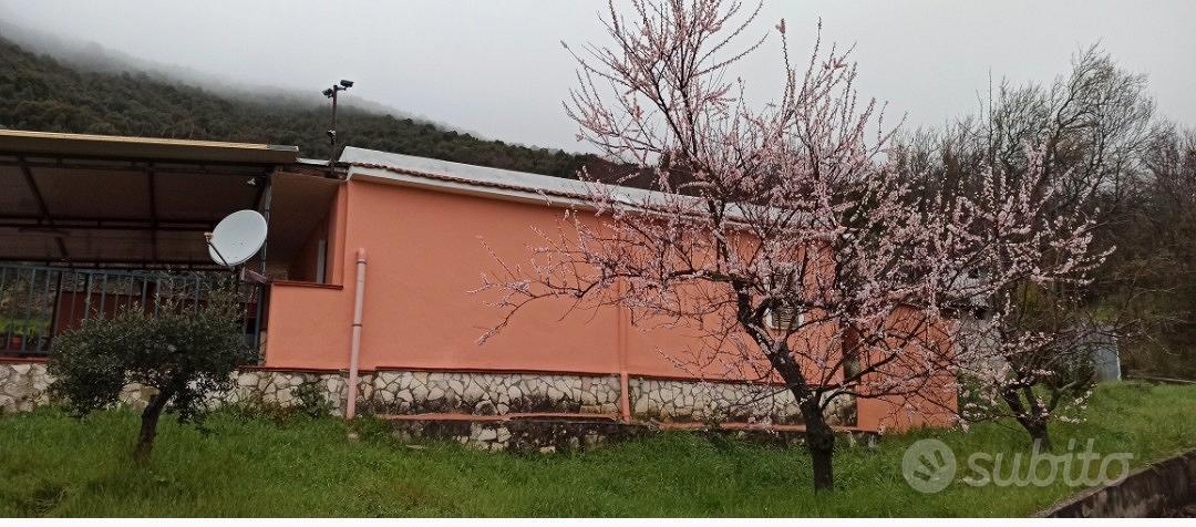 proprietà immersa nel verde dei monti lepini - Vista 2