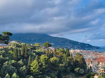 Ampio Trilocale ad Alassio