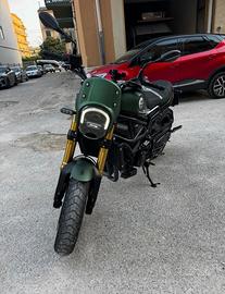 Leoncino 800 stradale immatricolata 5/2024