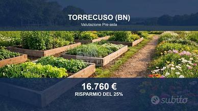 Immobile in asta di 7850 m² a Torrecuso