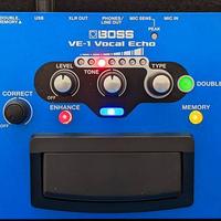 Boss VE-1 vocal echo