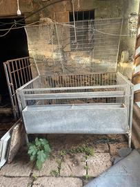 Mangiatoia per suini