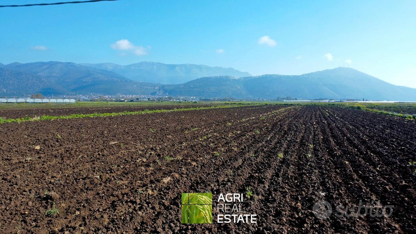 Terreno agricolo 4 ettari fronte strada con pozzo - Vista 5