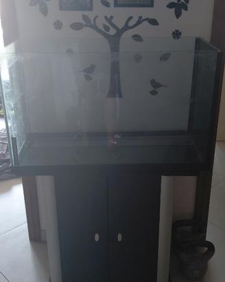 Acquario con mobiletto