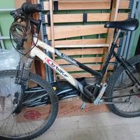 Bicicletta mezza misura mountain bike