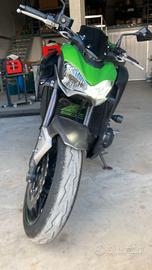 Kawasaki Z900 anno 2019