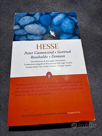 Libro Hesse