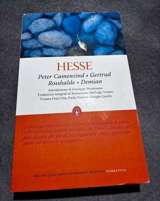 Libro Hesse