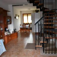 Trilocale a cecina disponibile fino a giugno 2026