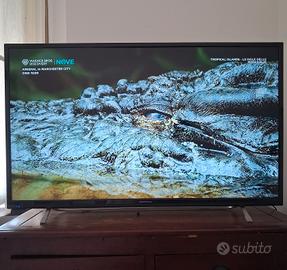 televisione
