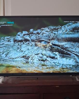 televisione