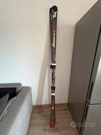 Sci Nordica dobermann
