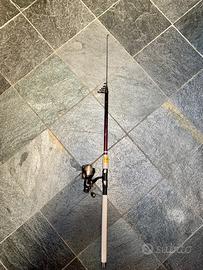 Canna da pesca con mulinello