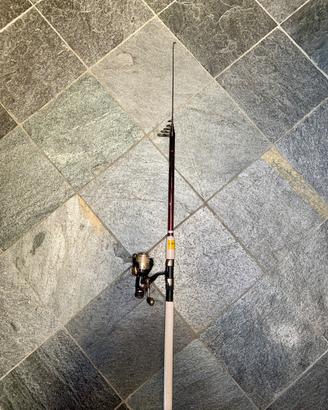 Canna da pesca con mulinello