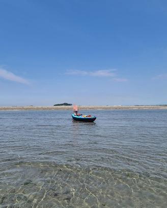 KAYAK