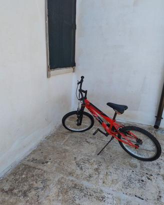 Bicicletta
