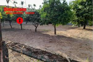 Terreno di 1050 m² a Comiziano