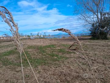 Terreno adiacente al Lago Patria