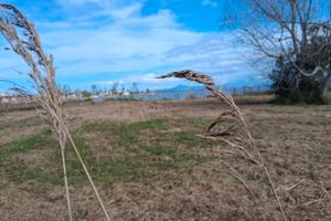 Terreno adiacente al Lago Patria