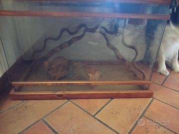 terrario 