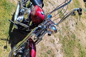 softail springer 