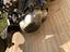 Immagine 2