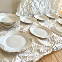 Set piatti Richard Ginori  Extra Strong