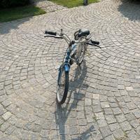 Bicicletta per bambini