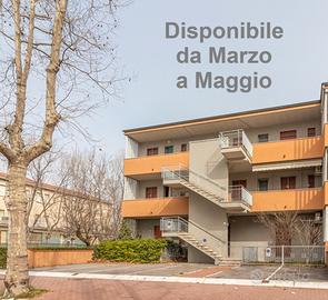 Bilocale ristrutturato