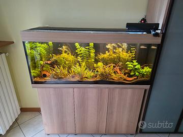 acquario Juwel rio 240 
