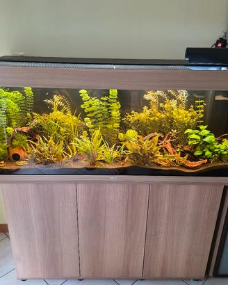 acquario Juwel rio 240 