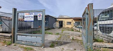 LABORATORIO A FROSINONE