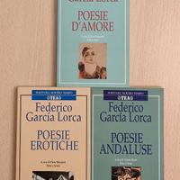 F. Garcia Lorca：POESIE D'AMORE, EROTICHE, ANDALUSE