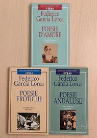 F. Garcia Lorca：POESIE D'AMORE, EROTICHE, ANDALUSE