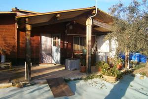 Azienda agricola con fabbricato rurale