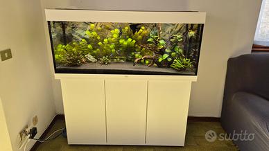 Acquario Juwel Rio 240 completo + Accessori