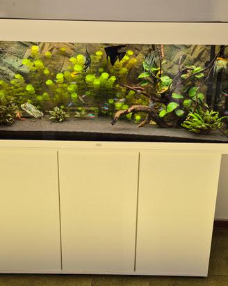 Acquario Juwel Rio 240 completo + Accessori
