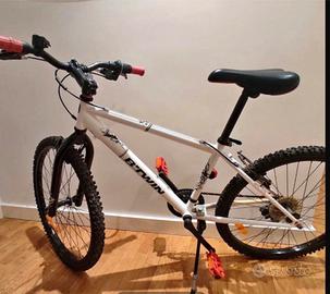 Rock rider s300