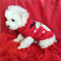 Toy Dog Bichon Frisè arricchiscono la tua vita