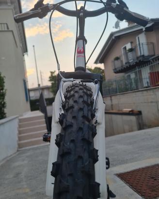 bicicletta da bambina 