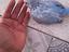 Immagine 4