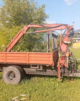 rimorchio forestale gru