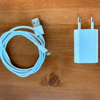 Caricatore Apple con cavo originale