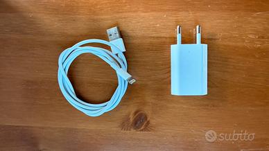 Caricatore Apple con cavo originale