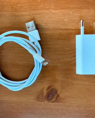Caricatore Apple con cavo originale